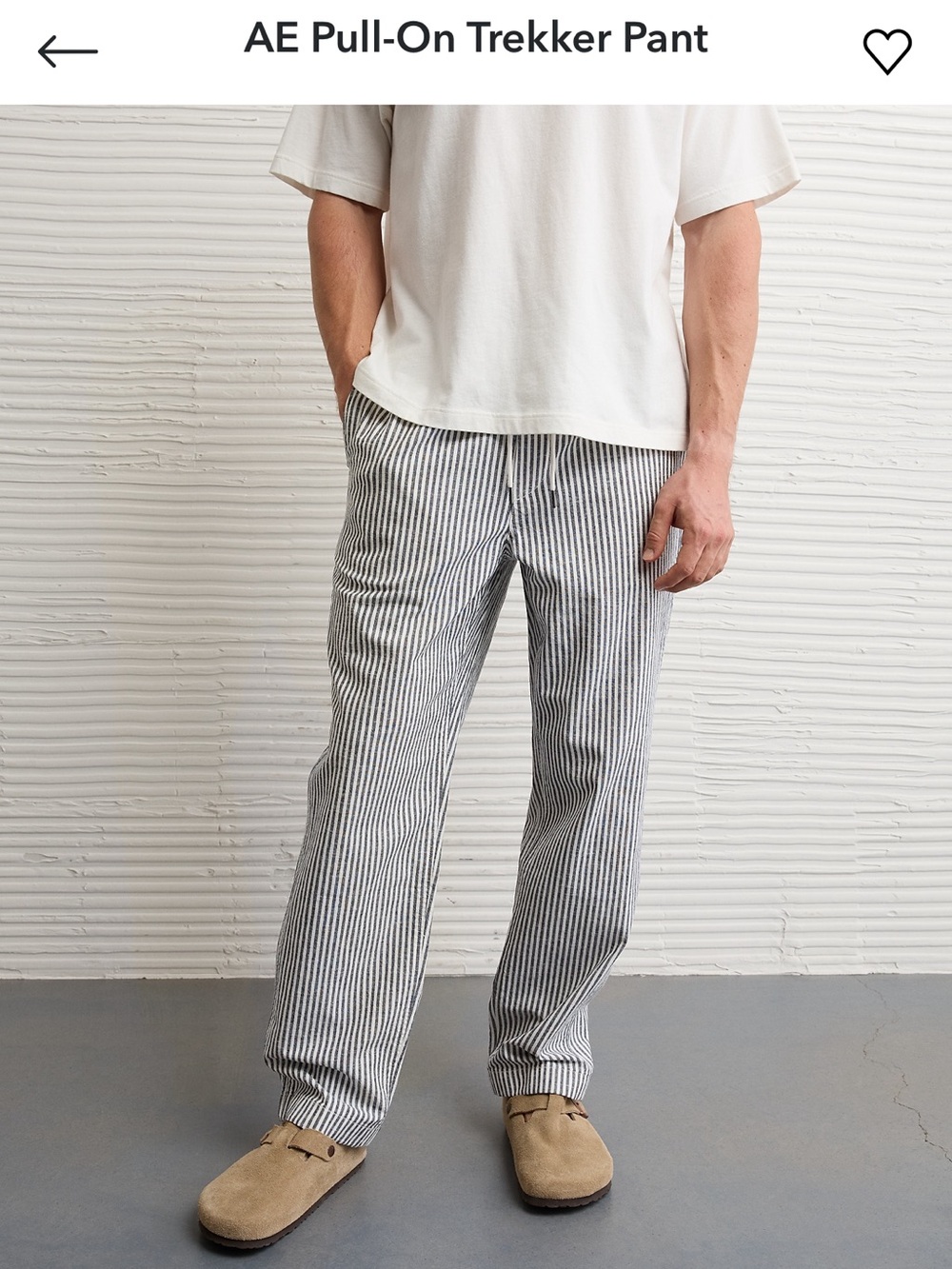 American Eagle Men's Striped “Trekker” Pants